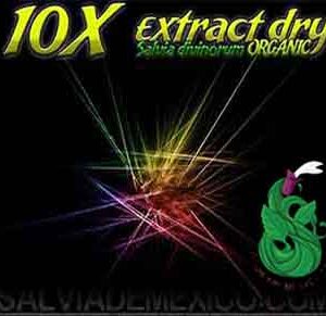 Salvia Divinorum Extracto 10x