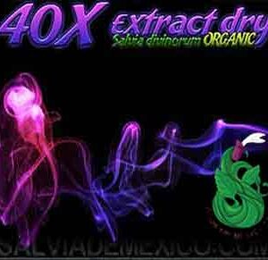 Salvia Divinorum Extracto 40x