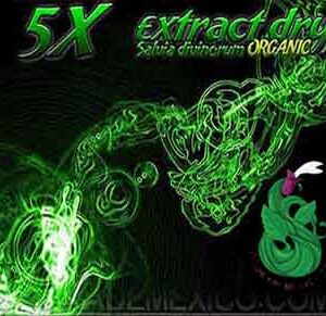 Salvia Divinorum Extracto 5x