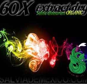 Salvia Divinorum Extracto 60x